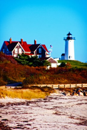 Framed Nobska Lighthouse Portrait Print