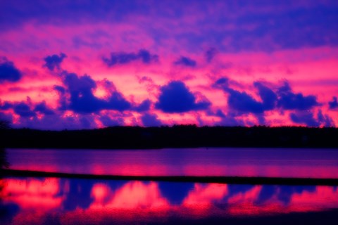 Framed Cranberry Bog Sunset Print