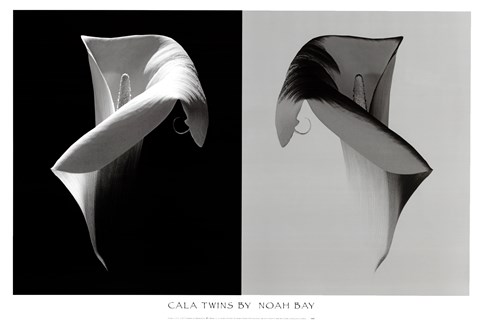 Framed Cala Twins Print