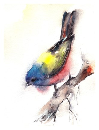Framed Bunting Bird Print