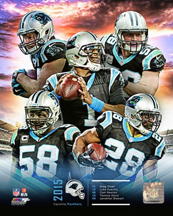 Framed Carolina Panthers 2015 Team Composite Print