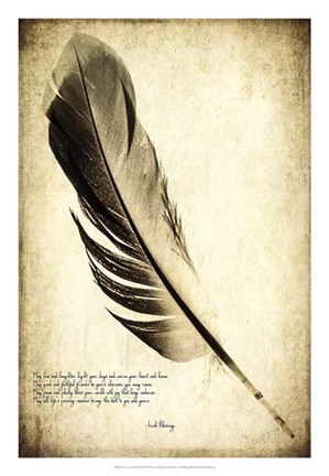 Framed Feather on the Wind IV Print