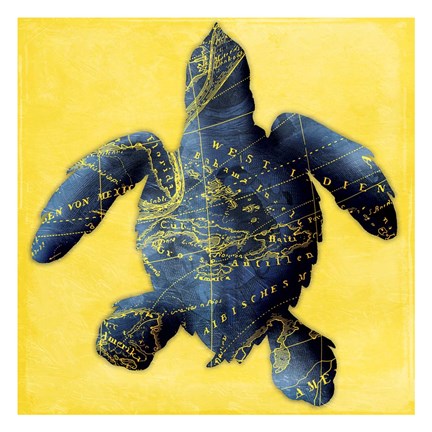 Framed Map Turtle Y Indigo Print