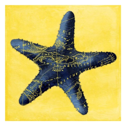 Framed Map Starfish Y Indigo Print