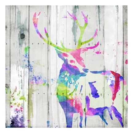 Framed Deer Gaze Colorful Print