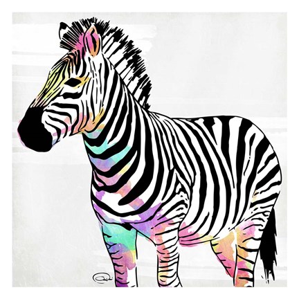 Framed Zebra Head Colorful Print