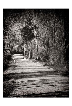 Framed Country Lane Print