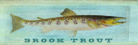 Framed Brook Trout Print