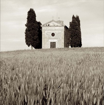 Framed Tuscany IX Print