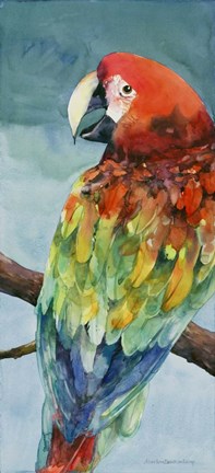 Framed Parrot Print