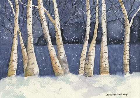 Framed Birch, Snowy Night Print