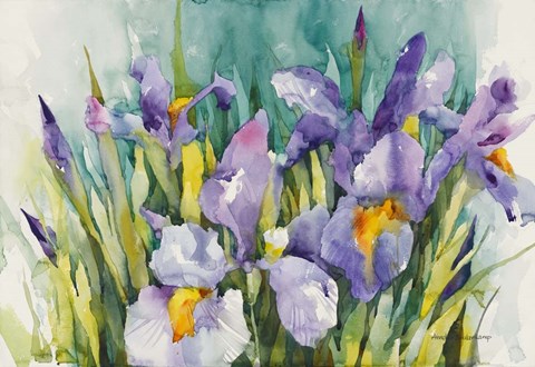 Framed Purple Irises Print