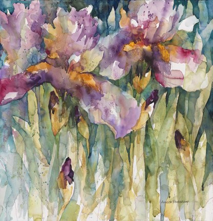 Framed Siberian Iris Print