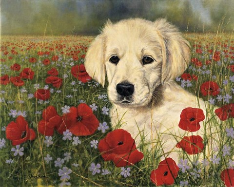 Framed Puppy And Poppies Print