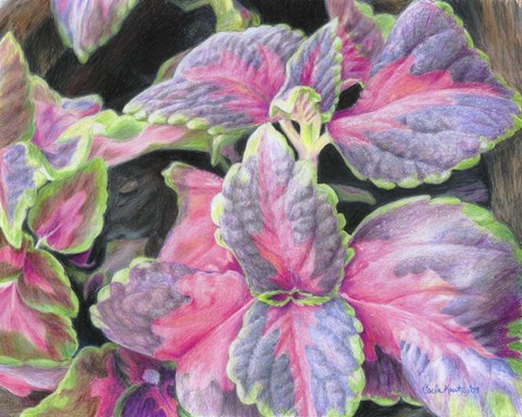 Framed Purple Flowering Plant Print