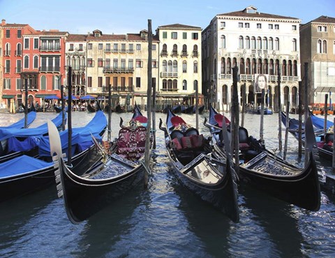 Framed Gondolas Print