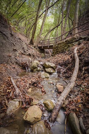 Framed Lower Nojoqui Falls Print