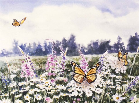 Framed Wild Flowers &amp; Butterflies Print