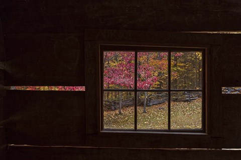 Framed Roaring Fork Cabin Window Print