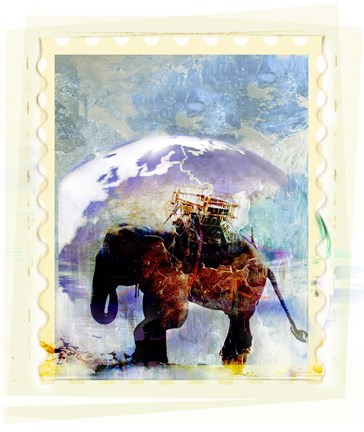 Framed Multi Colored Elephant Poster Print