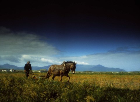 Framed Horse Pulling Cart through Open Field Print