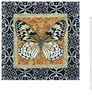 Framed Heirloom Butterfly I Print