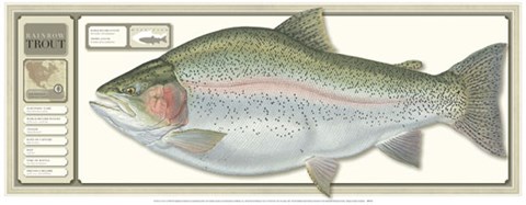 Framed World Record Rainbow Trout Print