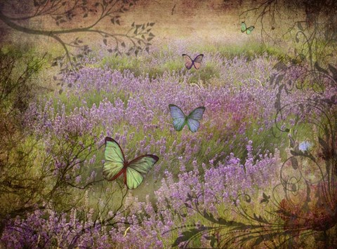 Framed Butterfly Garden Print