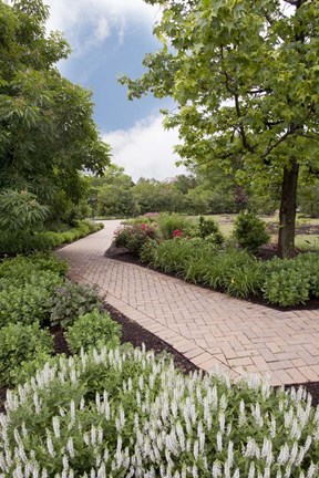 Framed Pathway at Franklin Park, Columbus, Ohio 10 Print