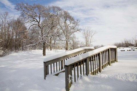 Framed Snow Bridge, Farmington Hills, Michigan 09 Print