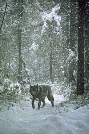 Framed Winter Encounter - Wolf Print