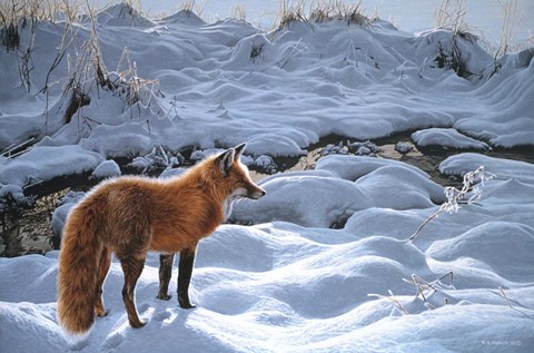 Framed Icy Morning- Red Fox Print