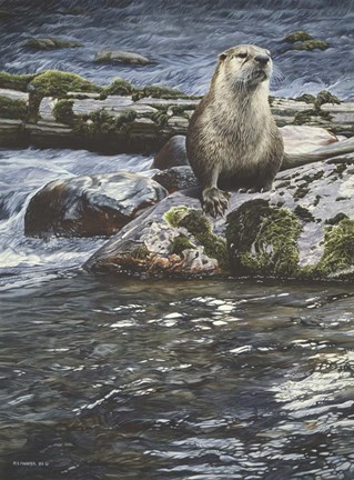 Framed Riverside Pause- River Otter Print