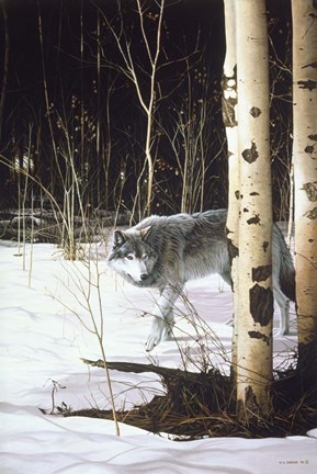 Framed Grey Wolf &amp; Aspen Print