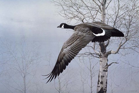 Framed Winter Flight Print