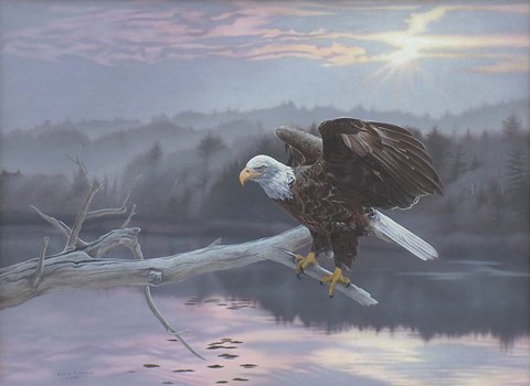 Framed Huron Eagle Print