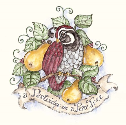 Framed Partridge In A Pear Tree Print