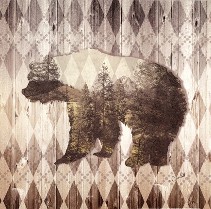 Framed Wild Nature Bear Print