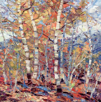 Framed Birch Colors I Print