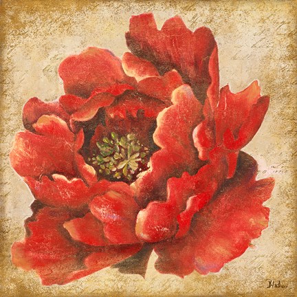 Framed Red Peony on Gold (without stem) Print