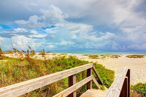 Framed Beach Island I Print