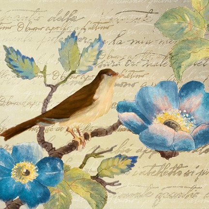 Framed Avian on Blue II Print