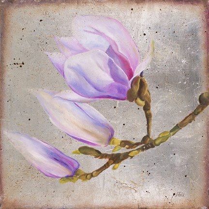 Framed Magnolia on Silver Leaf I Print