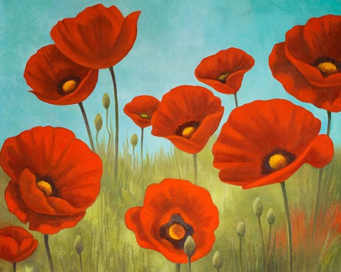 Framed Field of Poppies II Print