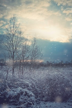 Framed Winter&#39;s Day Print