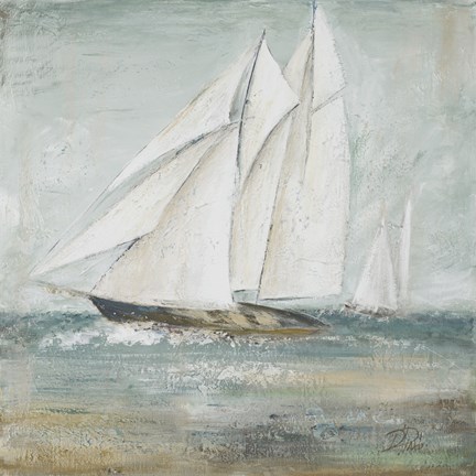 Framed Cape Cod Sailboat I Print