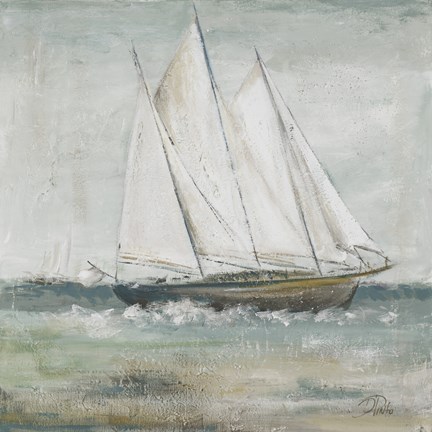 Framed Cape Cod Sailboat II Print