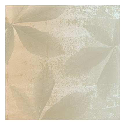 Framed Shaded Leaves 1 Print