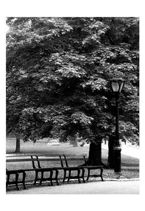 Framed Central Park Benches Print