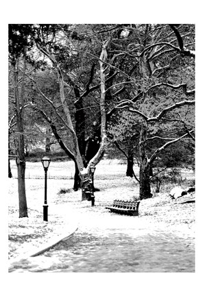 Framed Central Park Snowy Scene Print